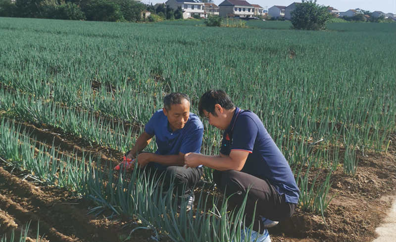 魯泰建材實(shí)力